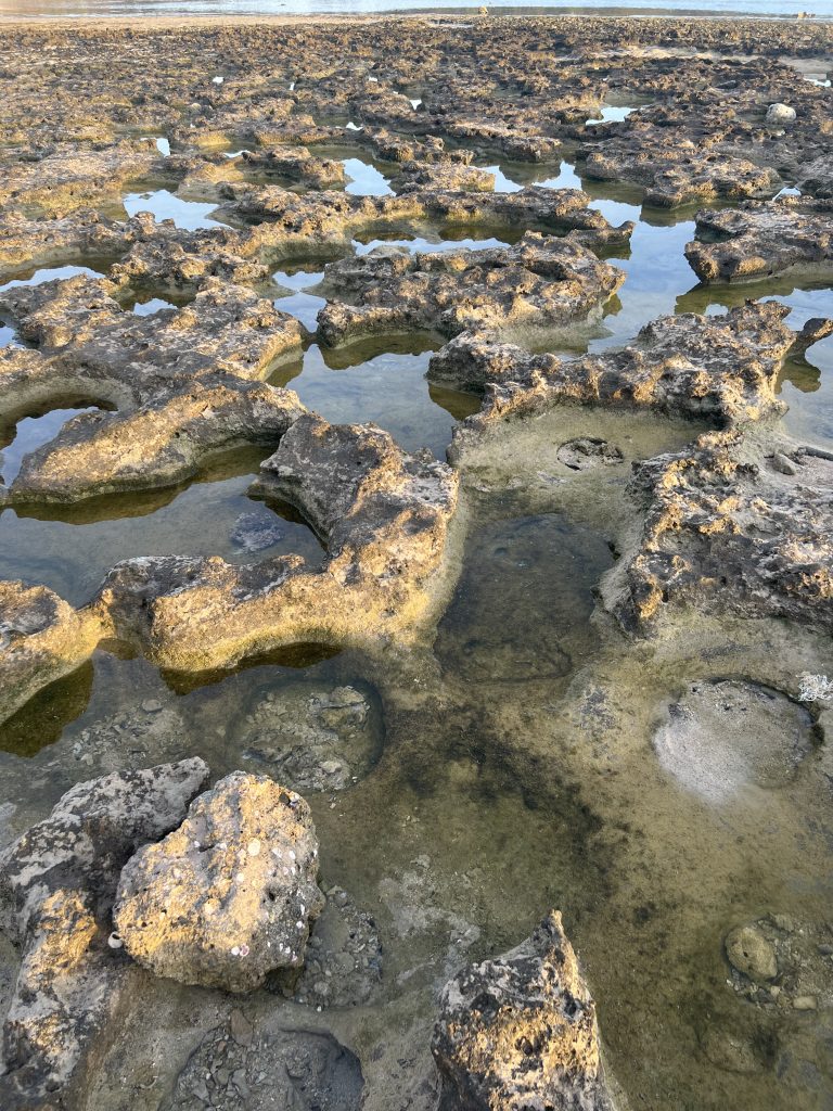 du lịch Ninh Thuận - Hòn Đỏ