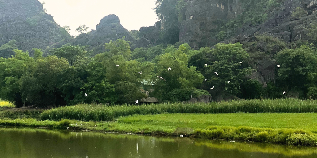 Du lịch Ninh Bình 2 ngày 1 đêm tự túc