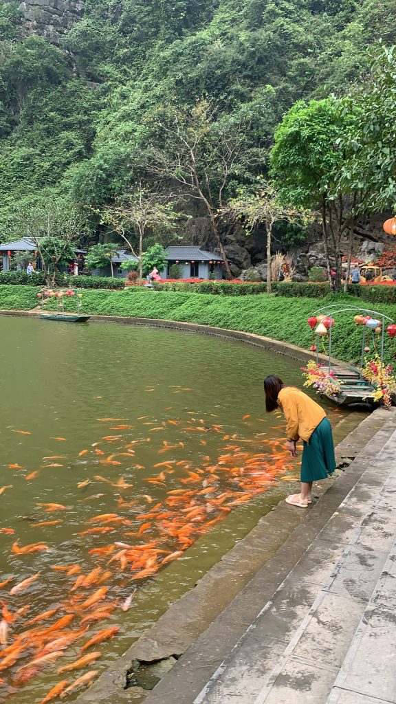 Du lịch Ninh Bình 2 ngày 1 đêm tự túc - Tuyệt Tịnh Cốc