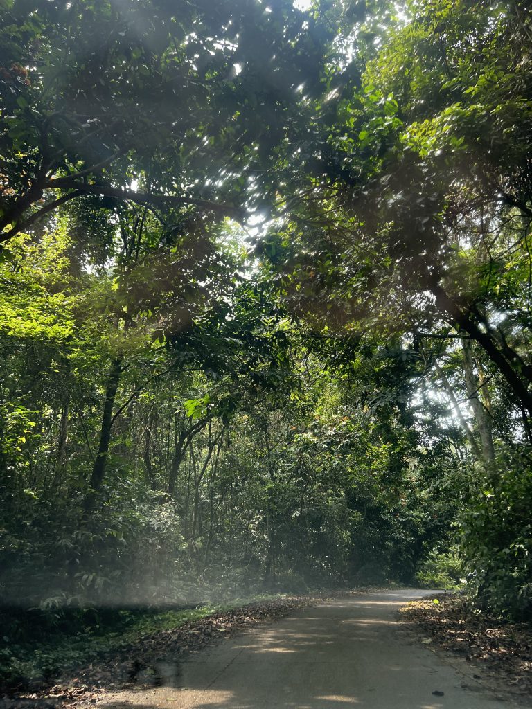 Du lịch Ninh Bình 2 ngày 1 đêm tự túc - VQG Cúc Phương